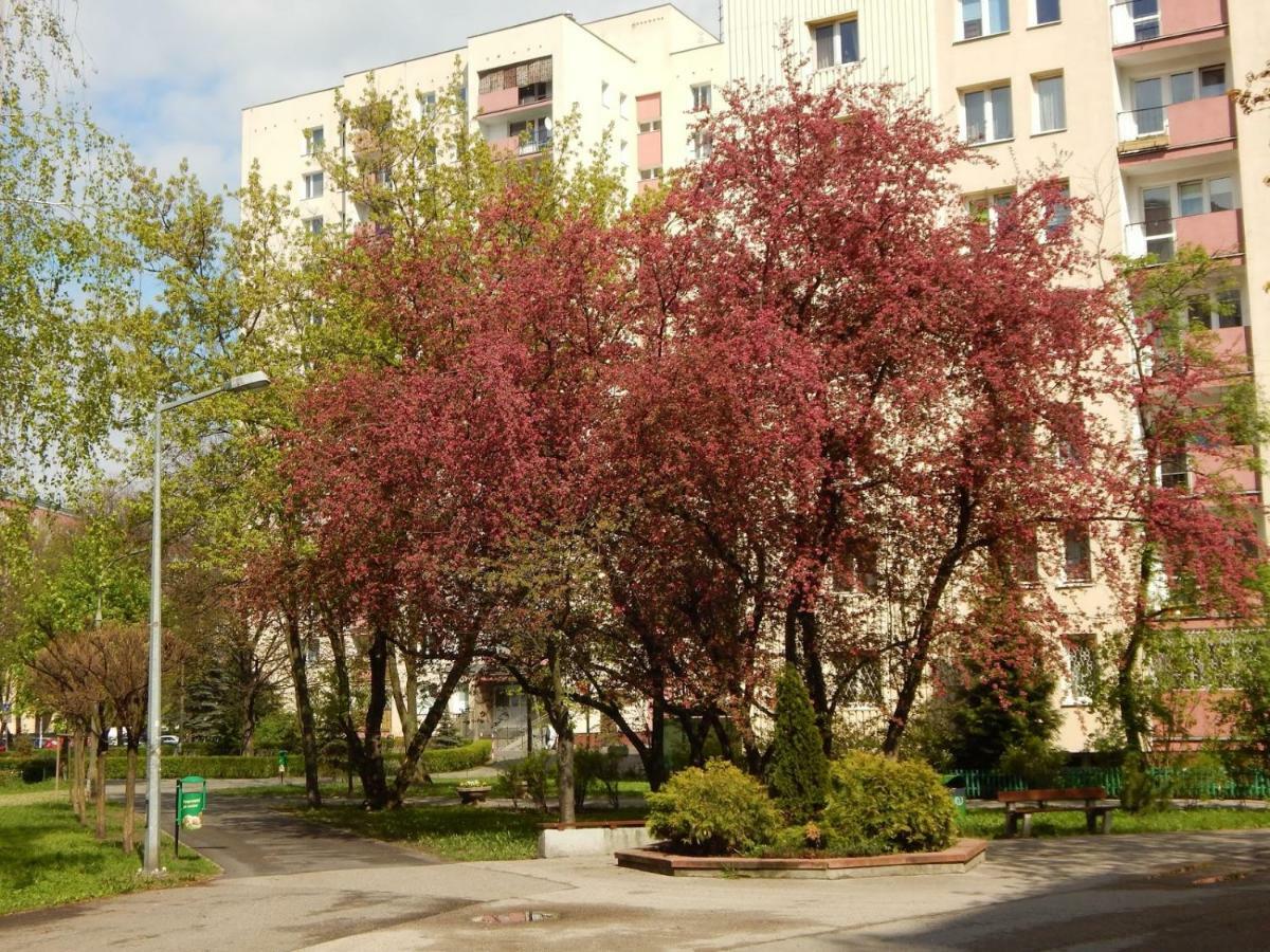 Apartament Luxury Business Saska Kepa Appartamento Varsavia Esterno foto